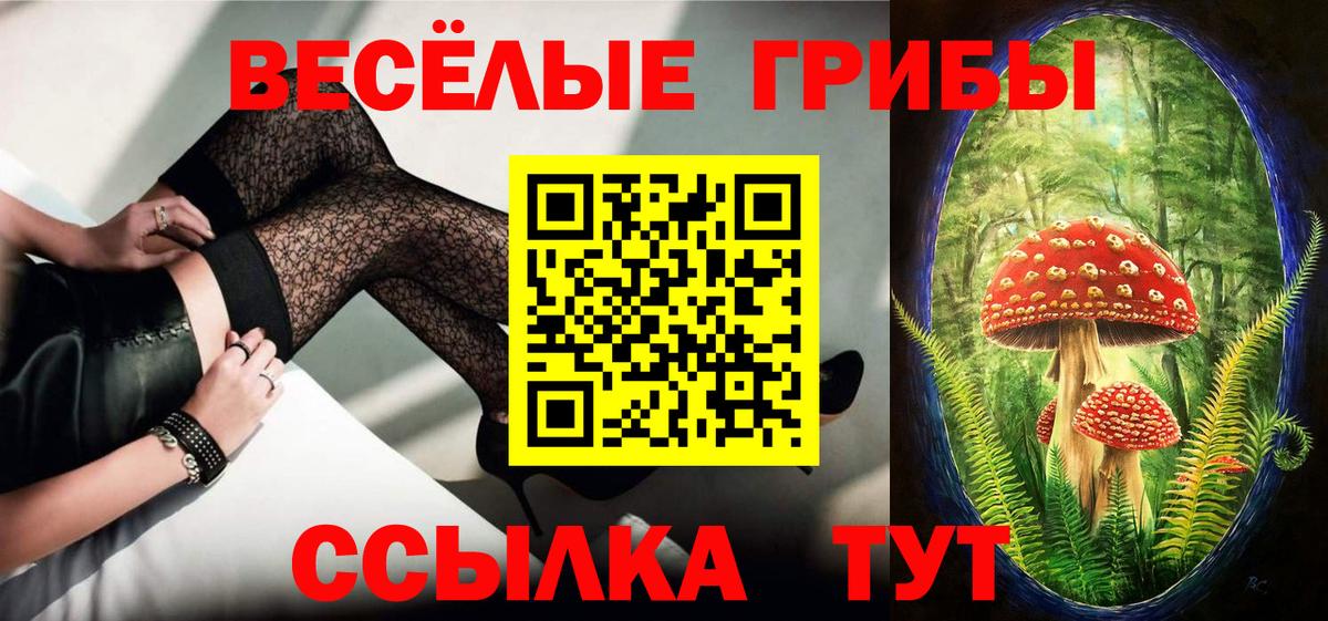 Псилоцибиновые грибы Magic Shrooms  Вход с VPN  Кинель  Галлюциногенные грибы прущие грибы 