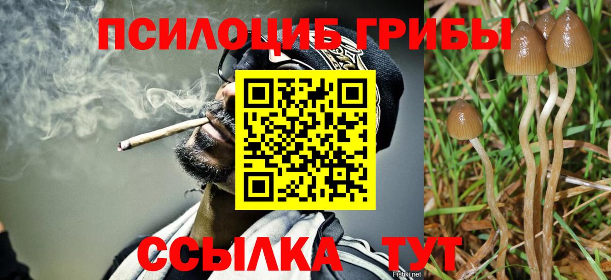 Галлюциногенные грибы прущие грибы Кинель